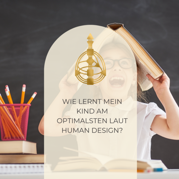 Human Design Lerntyp Reading